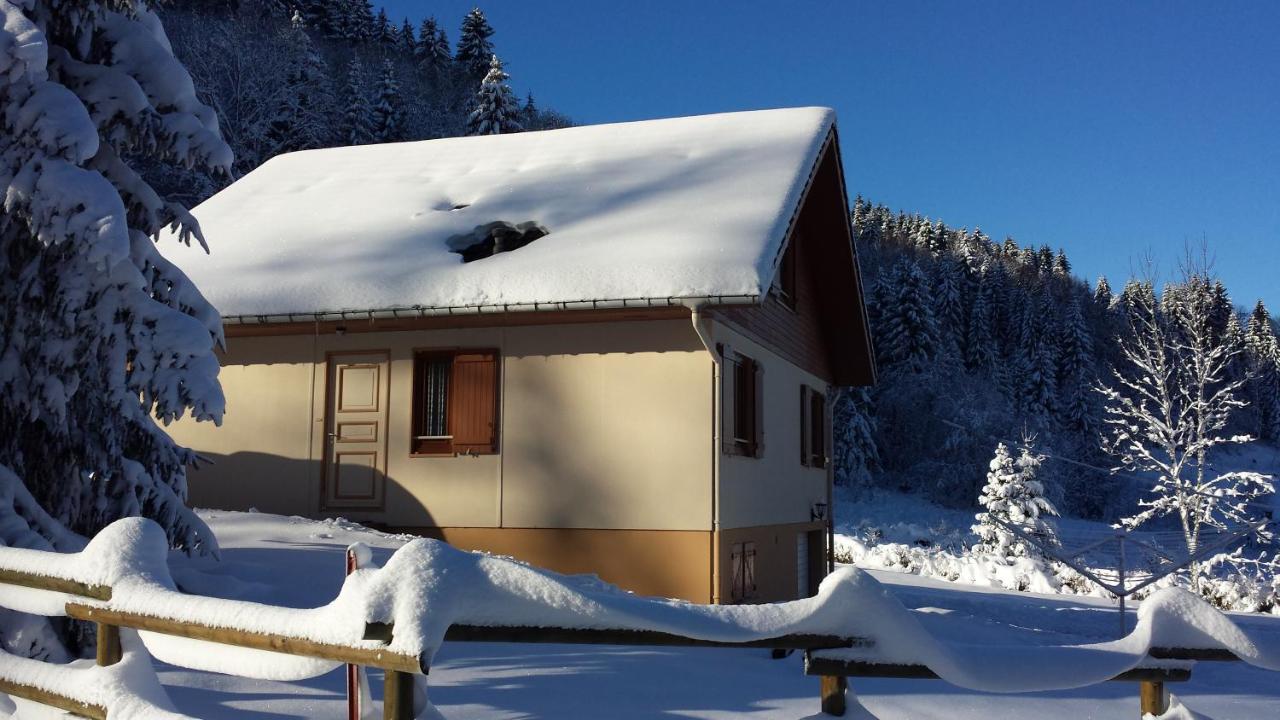 Le Bois Joli Chalet 4 Etoiles Cledicihome Cadre Paisible En Lisiere De Foret Gérardmer Dış mekan fotoğraf
