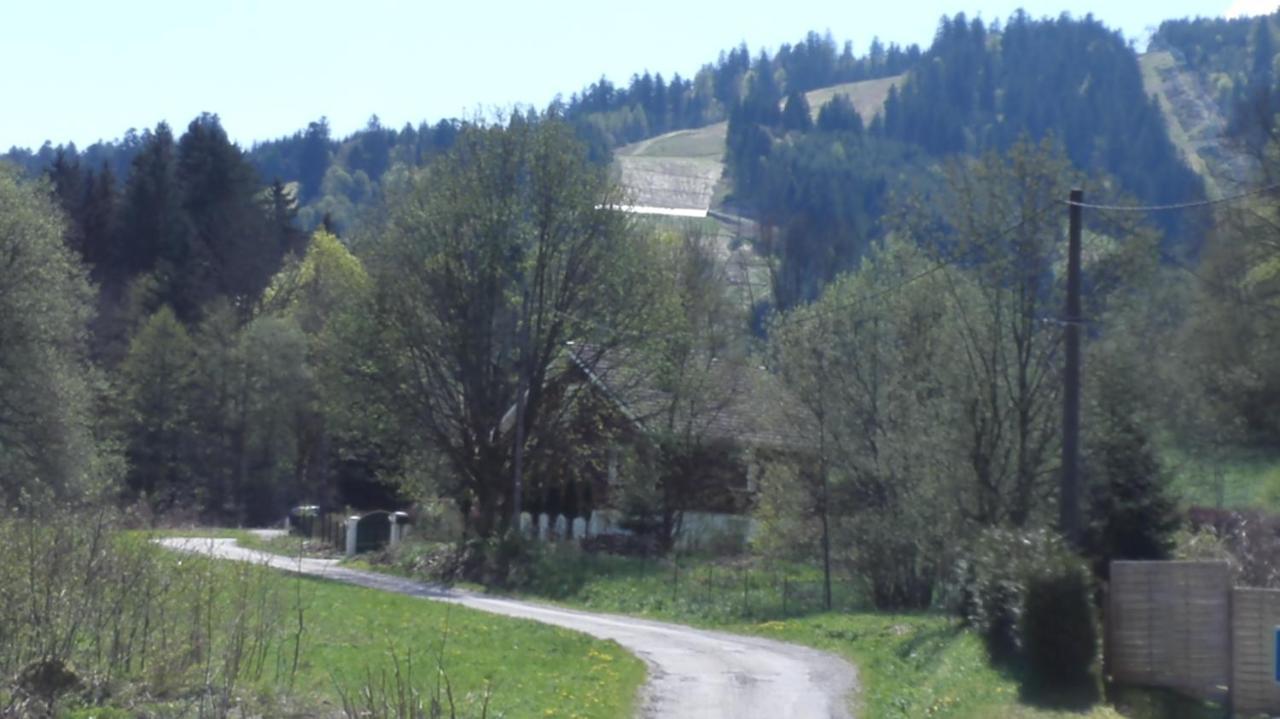 Le Bois Joli Chalet 4 Etoiles Cledicihome Cadre Paisible En Lisiere De Foret Gérardmer Dış mekan fotoğraf